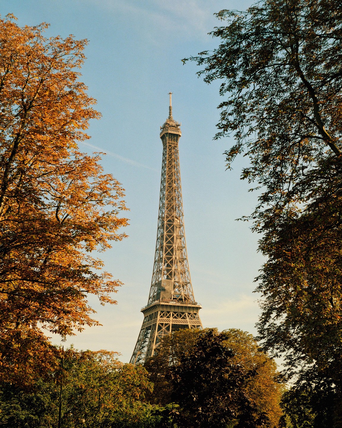 The Eiffel Tower rises above autumn trees against a clear sky.