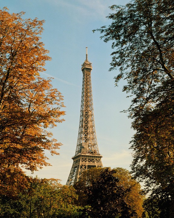 The Eiffel Tower rises above autumn trees against a clear sky.