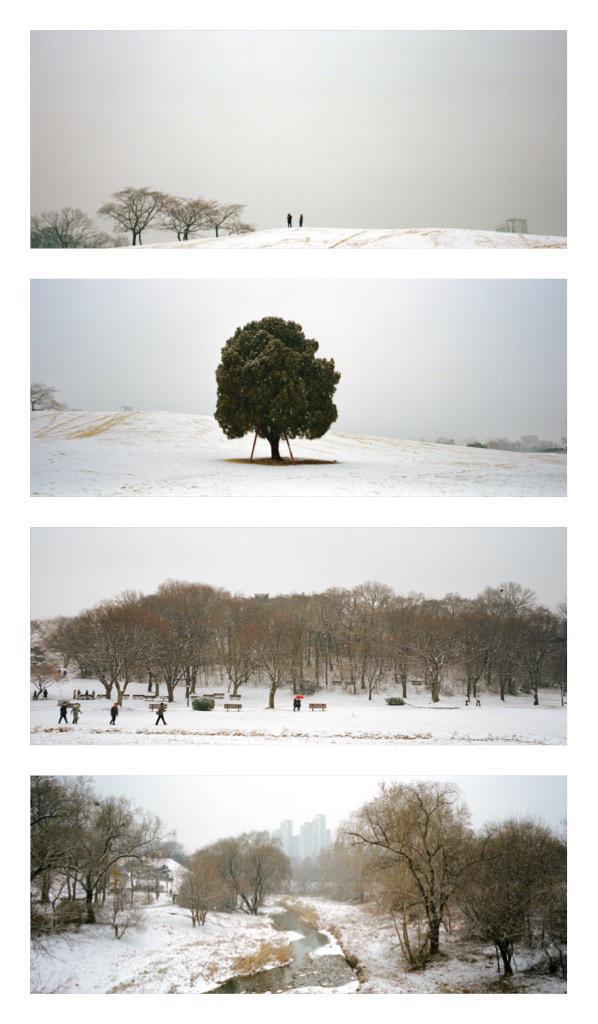 Four landscape images show a snowy park with trees, people, a river, and distant buildings under a white sky.