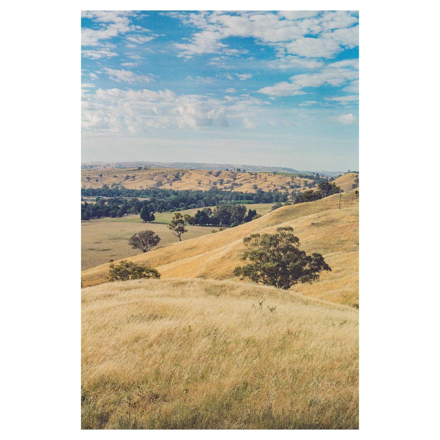 A landscape view shows rolling hills covered in dry grass and scattered trees under a blue sky with clouds.