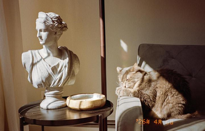 A cat sleeps on a chair next to a bust and a candle on a table, illuminated by sunlight.
