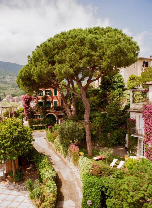 A winding path leads through a lush garden with a large tree and buildings covered in flowering vines.