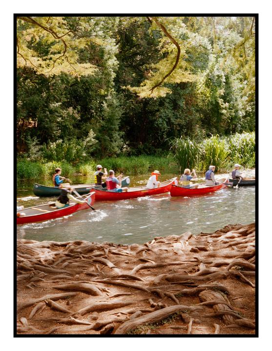 Several people in canoes paddle down a river lined with lush green trees and plants, with exposed tree roots visible in the foreground.