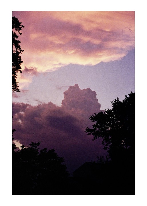 Dark silhouettes of trees frame a dramatic sky filled with pink and purple clouds.