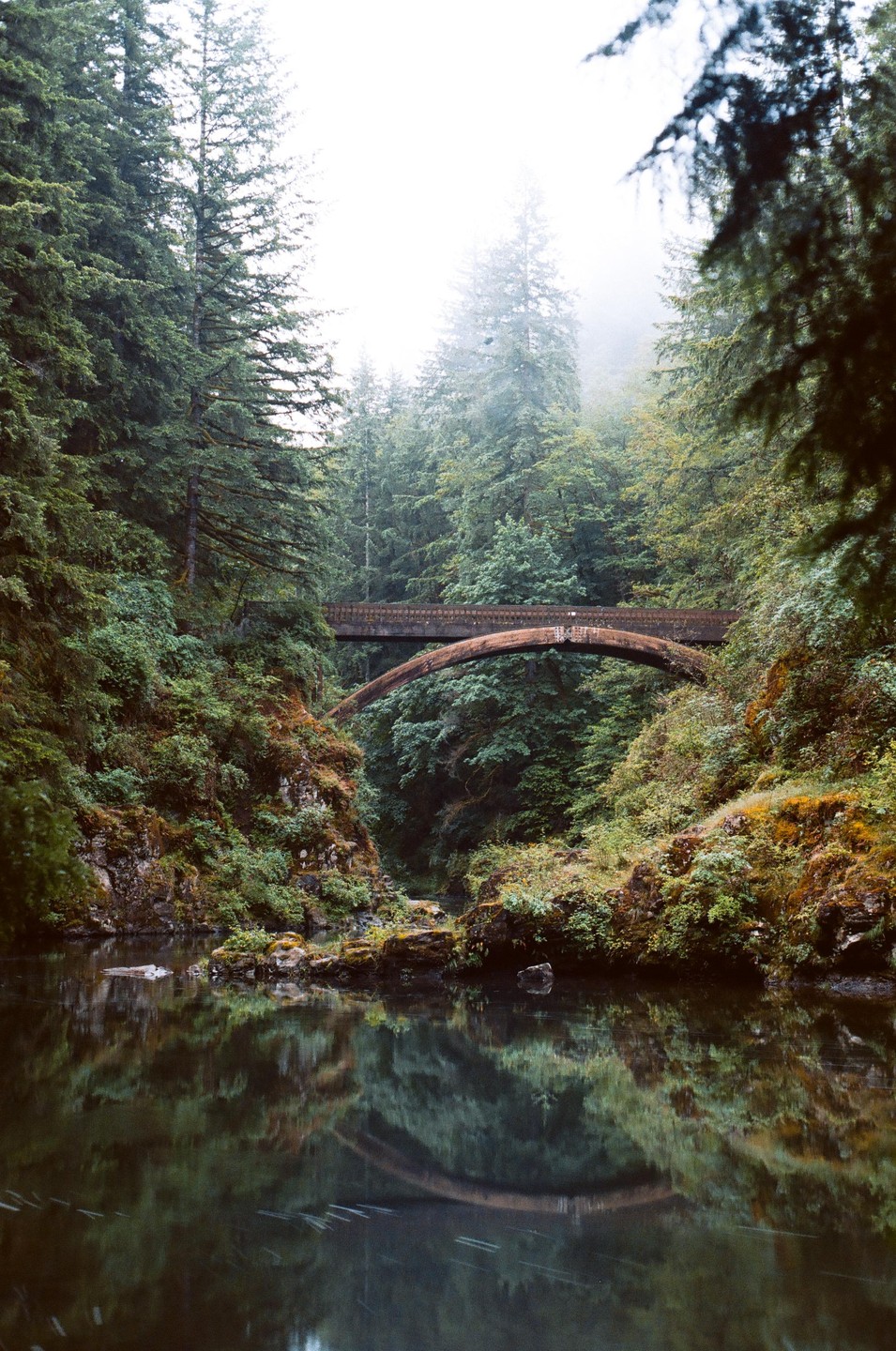 A bridge spans a river in a forest with mist in the background.