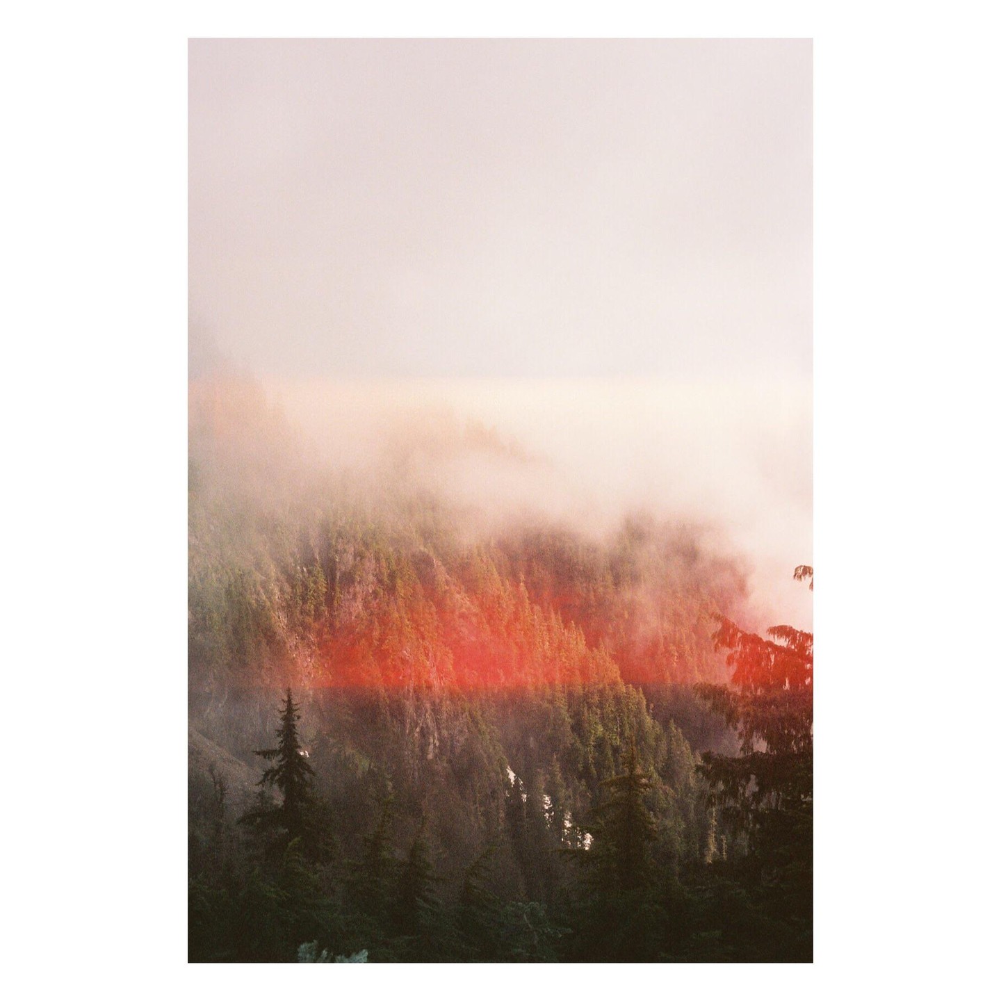 A dense forest on a mountainside is partially obscured by fog, with a prominent red light leak across the middle.