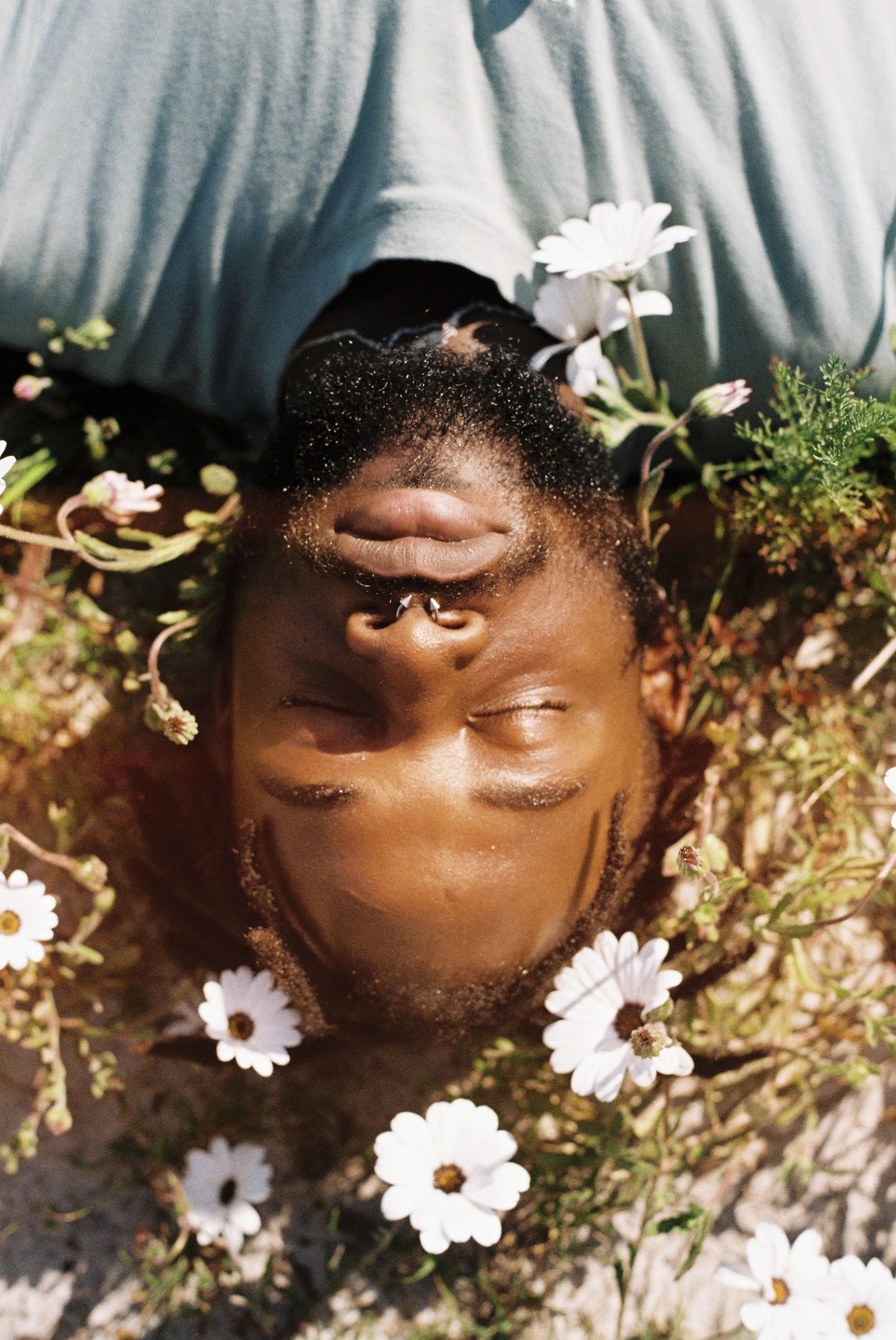 A man with closed eyes and a nose piercing lies in grass surrounded by white flowers.