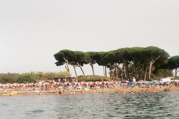 A crowded beach with many people swimming in the water and relaxing under red and white striped umbrellas, with a line of tall pine trees in the background.