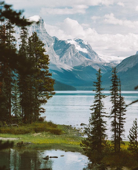 A body of water is surrounded by a forest and mountains with snow-capped peaks.