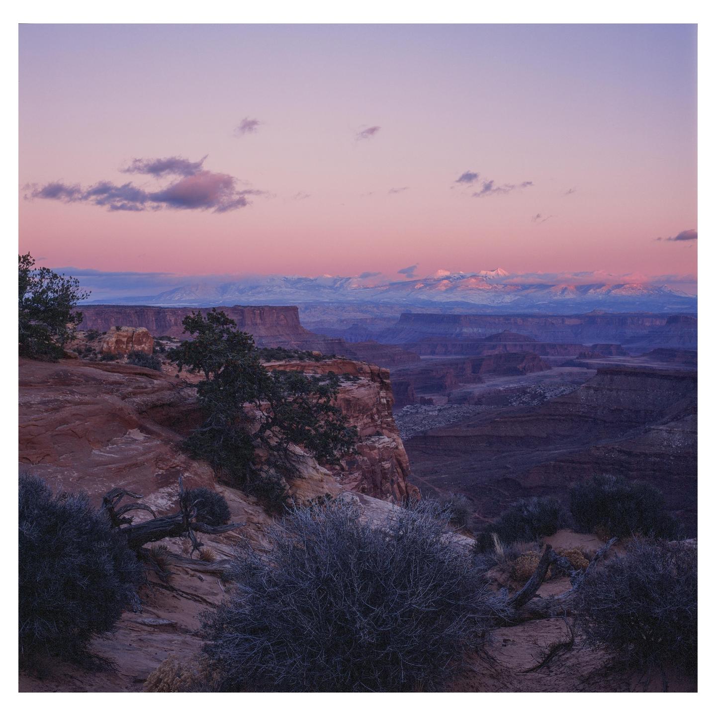 A vast canyon landscape is visible under a pink and purple sky with distant snow-capped mountains.