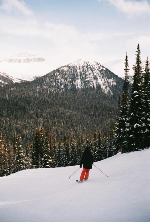 A person skis down a snowy mountain slope surrounded by a dense forest of pine trees.