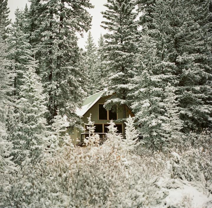 A cabin is nestled among snow-covered pine trees and bushes.