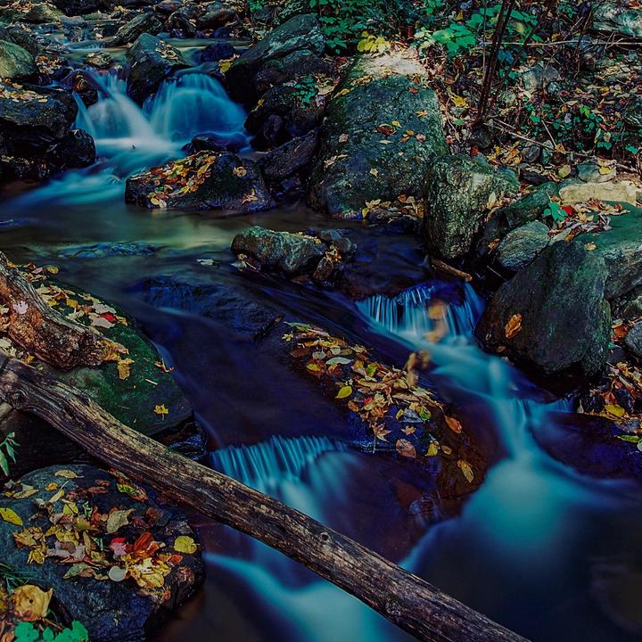 A long exposure shows a stream with small waterfalls flowing over rocks and fallen leaves.