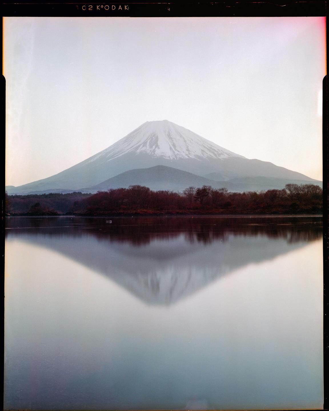 A snow-capped mountain is reflected in a still body of water, with a line of trees visible between the mountain and the water.