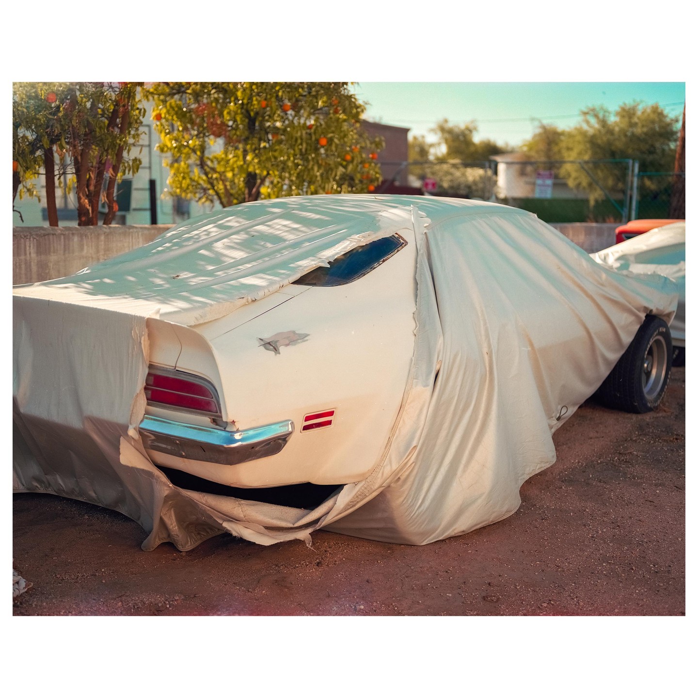 A white car is partially covered by a beige car cover, revealing its rear lights and a portion of its side.