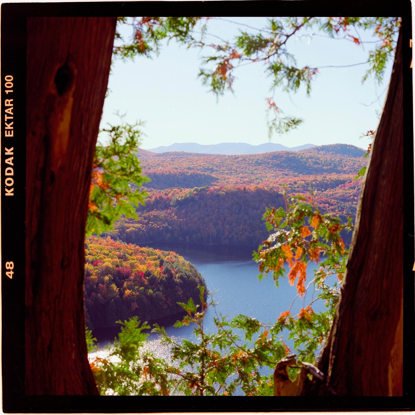 A body of water is surrounded by hills covered in autumn foliage, framed by two tree trunks and branches.