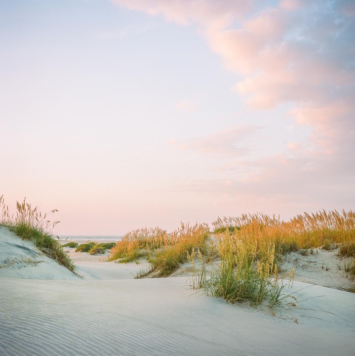 Sand dunes covered in tall grass lead to the ocean under a pastel sky.