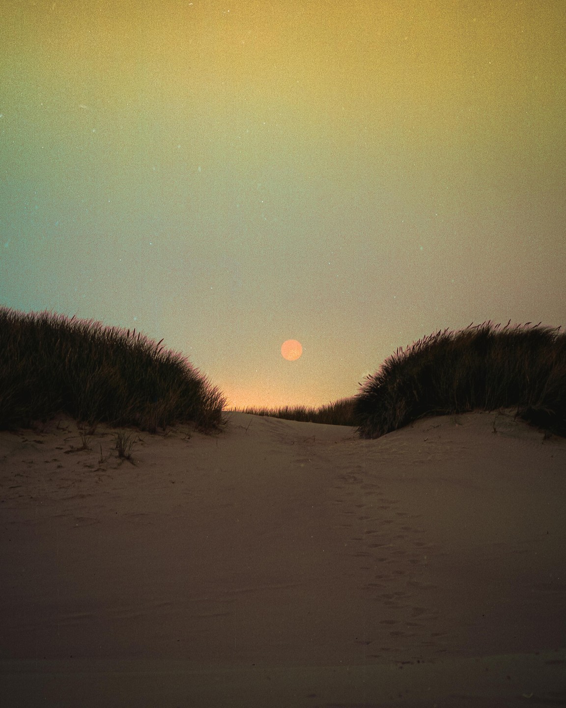 The sun rises over sand dunes covered with grass.