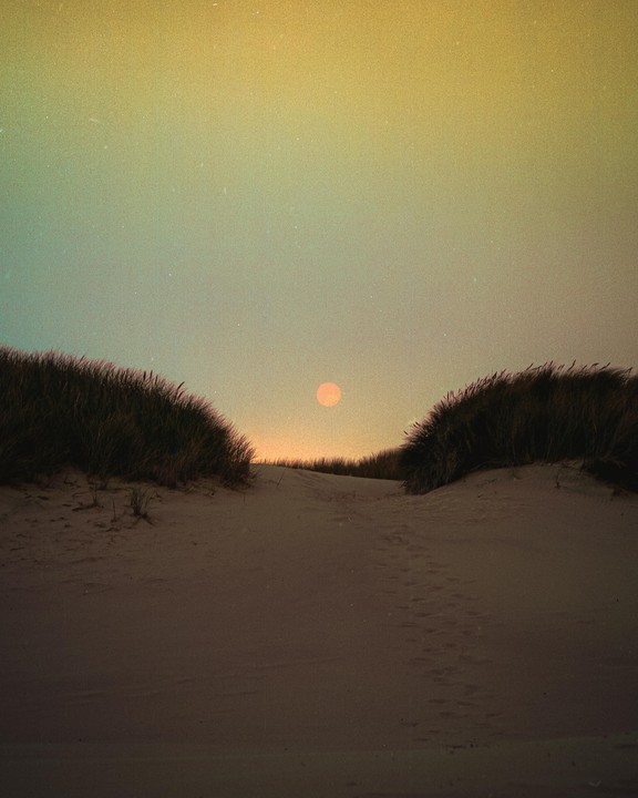 The sun rises over sand dunes covered with grass.