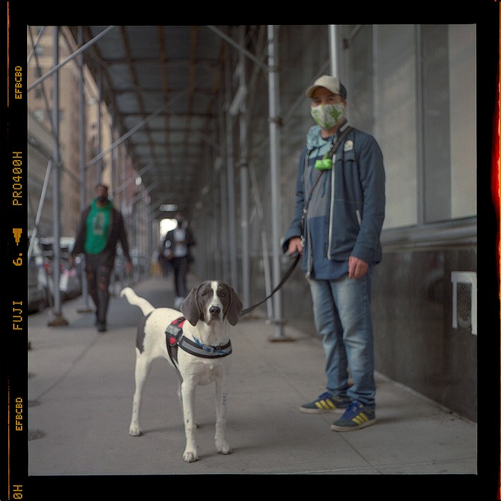 A man wearing a face mask and a baseball cap stands on a sidewalk holding a leash attached to a dog wearing a harness.