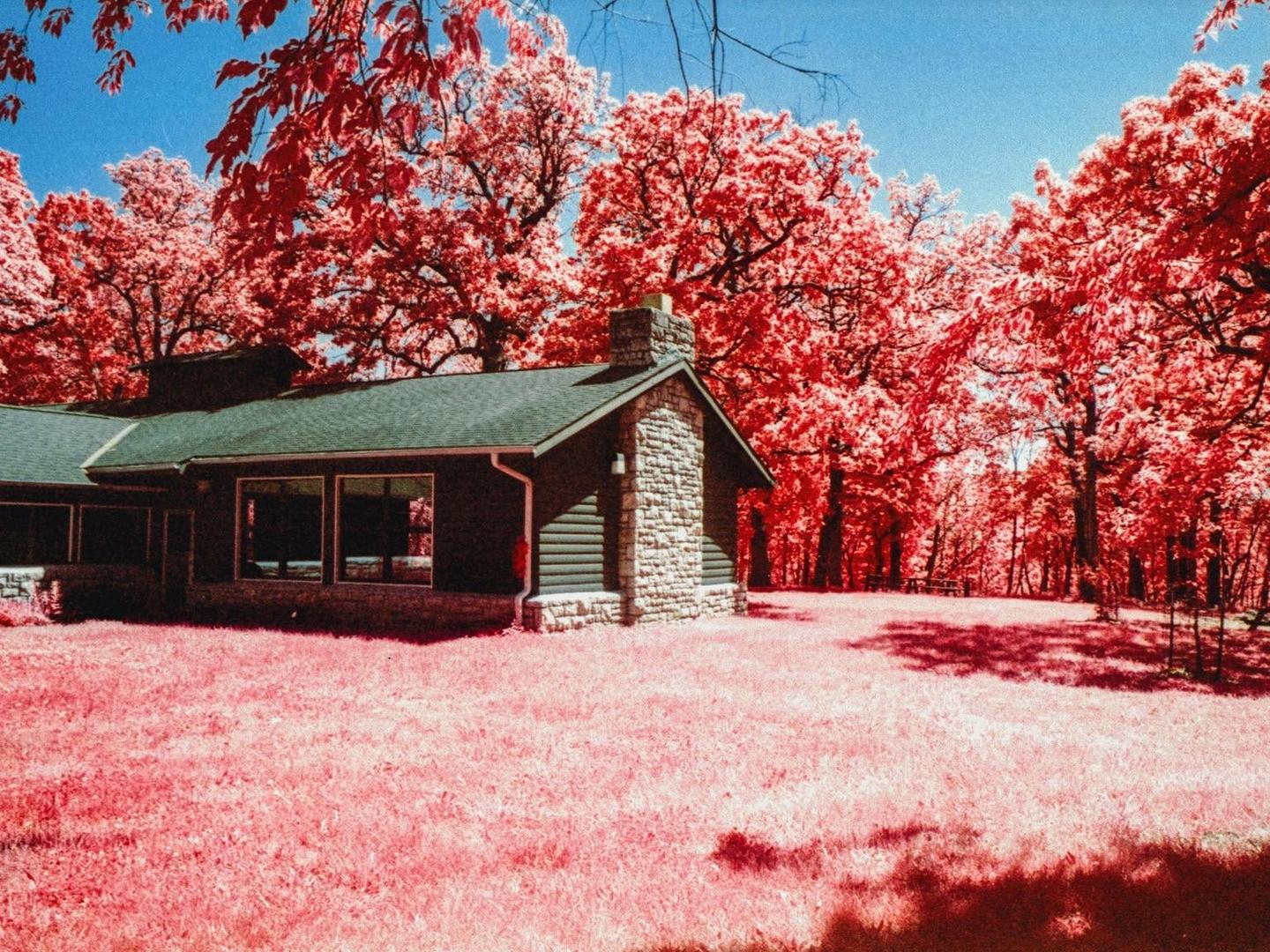 A house with a stone chimney is surrounded by trees and grass, all rendered in vibrant red and pink hues under a blue sky.