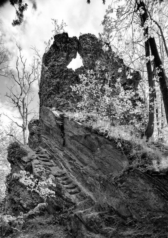 A black and white low-angle view shows the ruins of Hamrštejn Castle surrounded by trees and foliage.