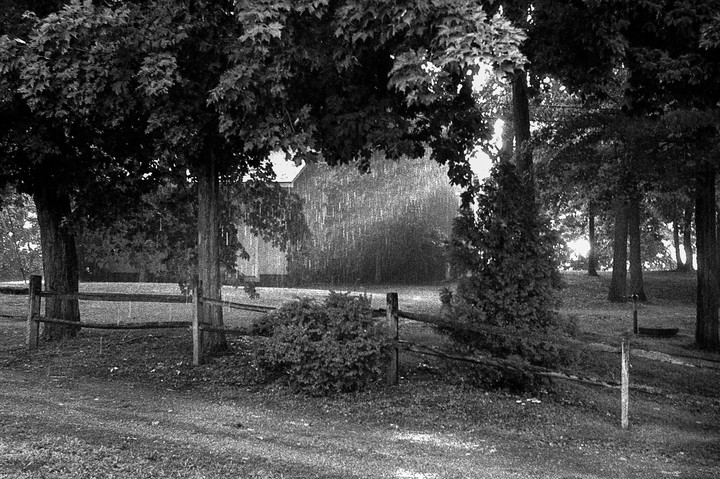 Rain falls on a rural landscape with trees, a fence, and a distant building.