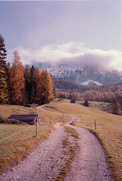 A winding dirt road leads through a grassy field towards a forest of autumn trees and snow-capped mountains partially obscured by clouds.
