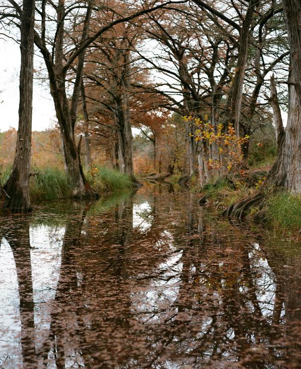 A narrow body of water reflects the trees that line its banks, with fallen leaves floating on the surface.
