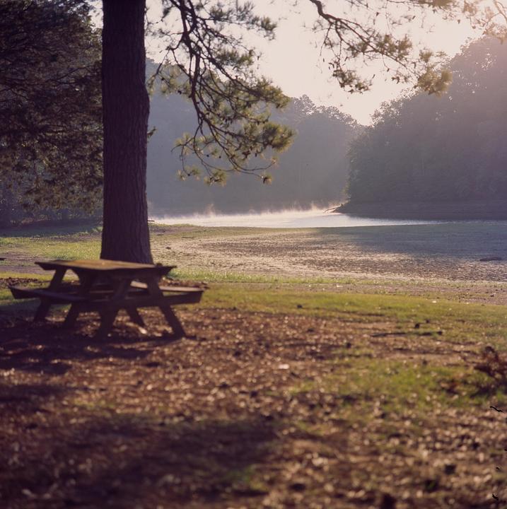 A picnic table sits under a tree next to a lake with fog rising from its surface.