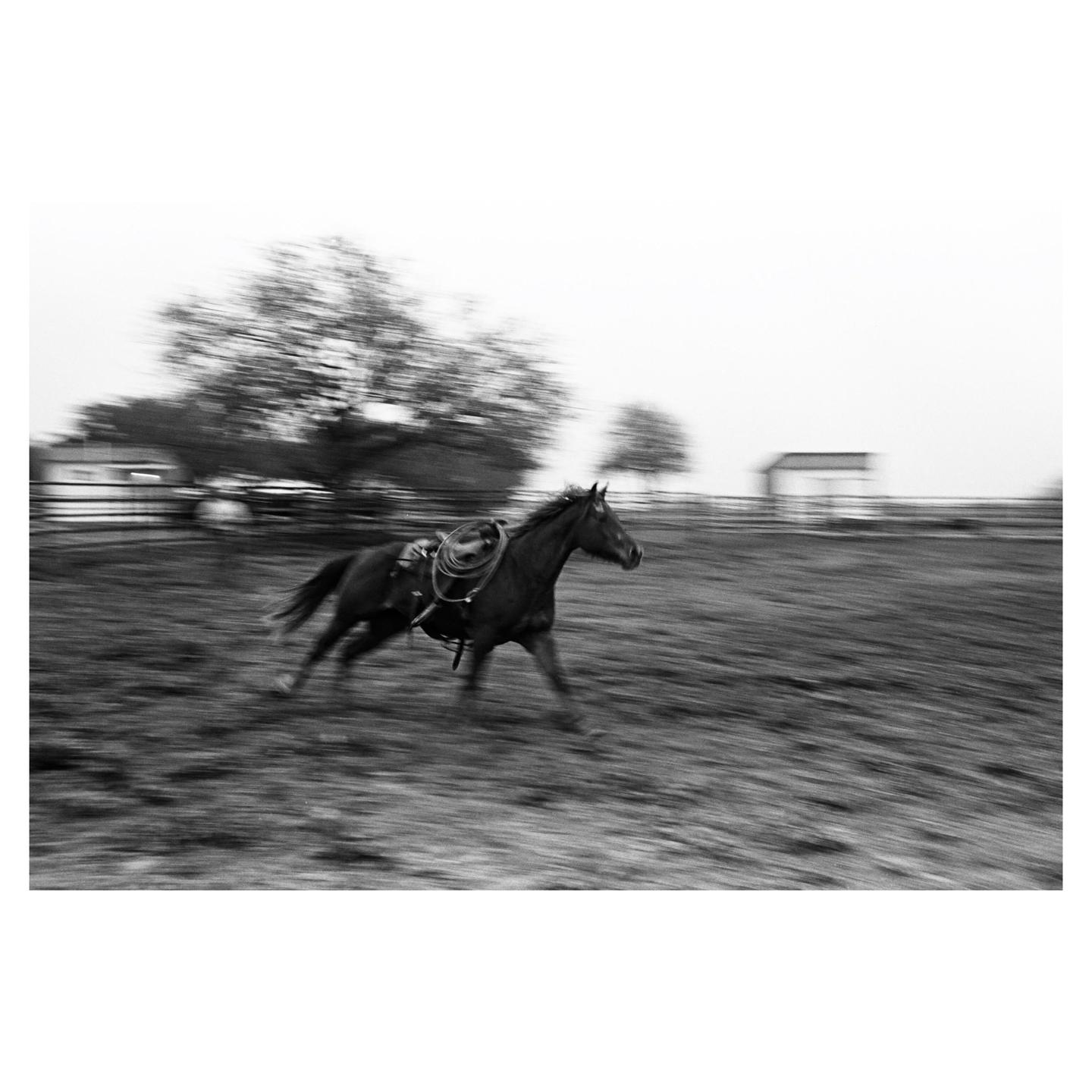 A horse with a saddle and rope runs across a field with blurred trees and a fence in the background.