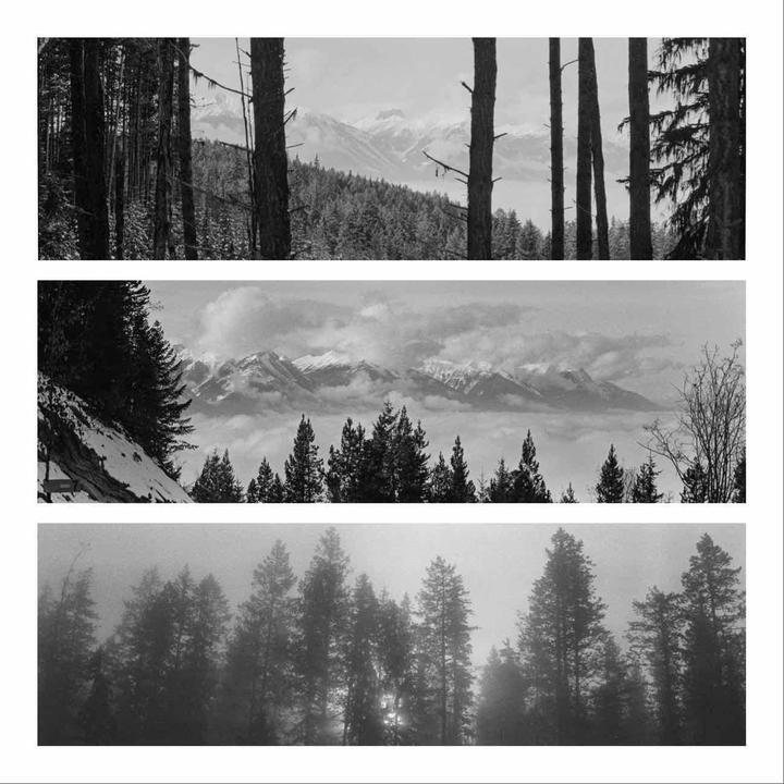 Three panoramic black and white images show a forest and mountains.