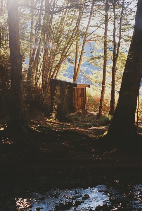 A small wooden shed stands among tall trees in a forest with a stream in the foreground.