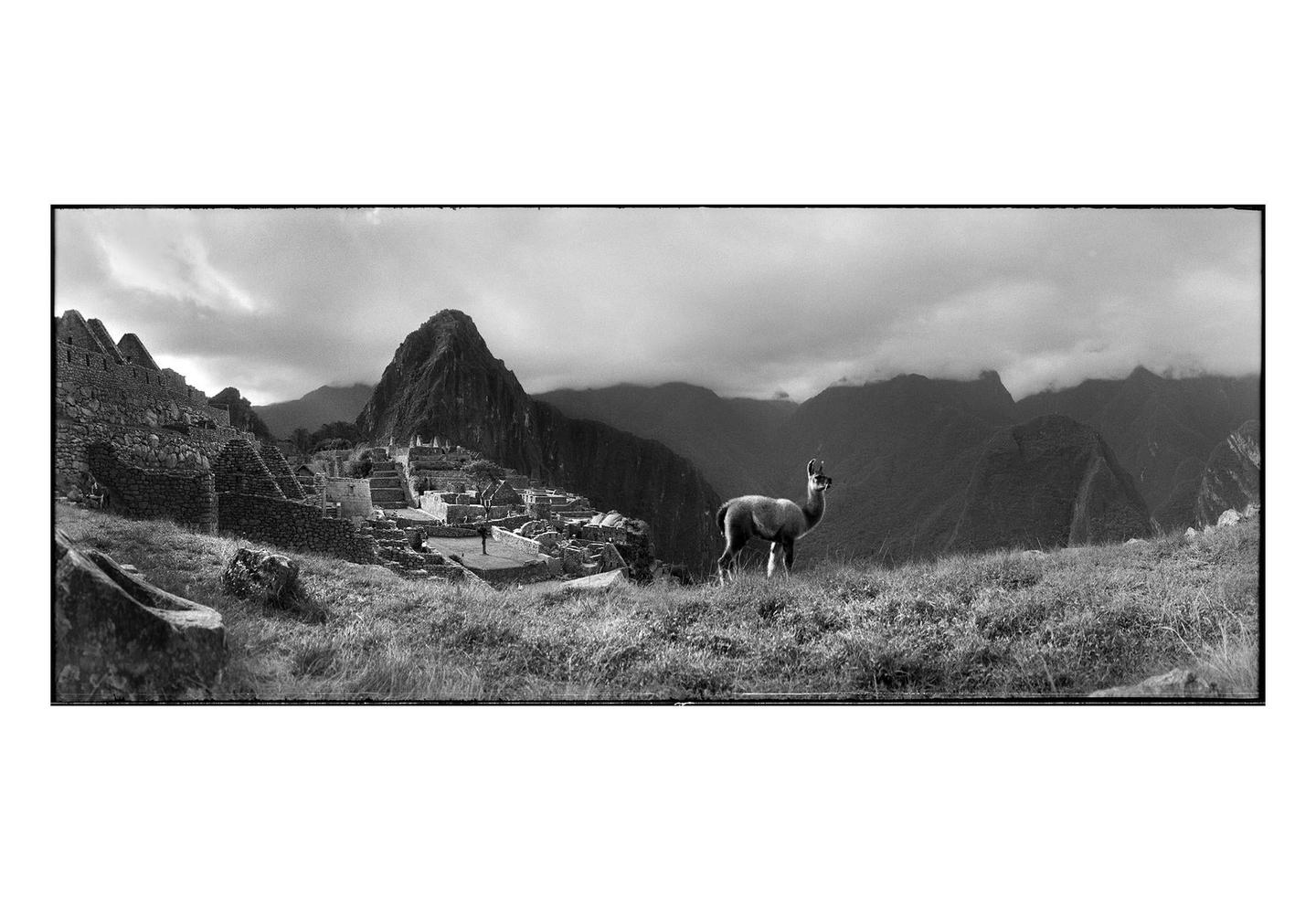 A llama stands on a grassy hill overlooking ancient ruins and mountains under a cloudy sky.