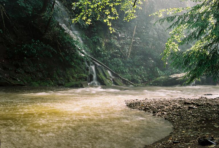 A small waterfall flows into a river next to a rocky bank, surrounded by lush green foliage and trees.