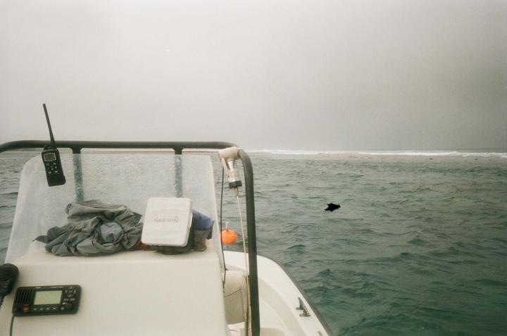 A boat is on the water with a dark shape floating in the distance and a hazy sky.