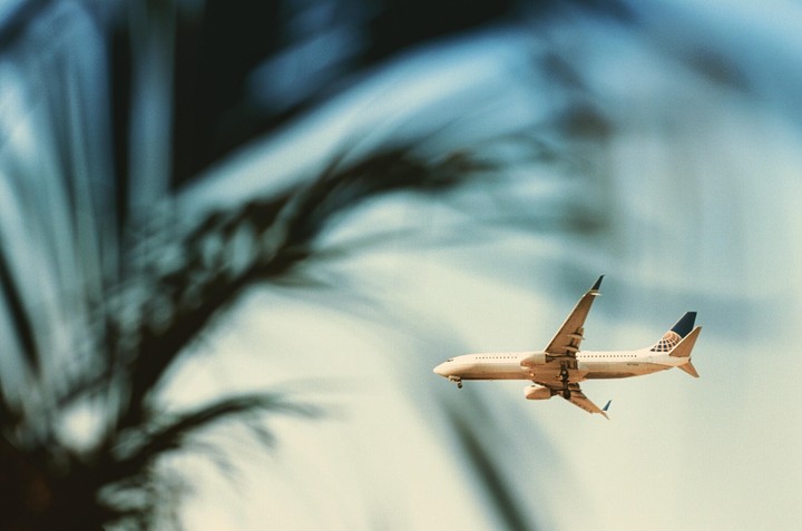 A white airplane with blue and gold tail markings flies through a hazy sky with blurred palm fronds in the foreground.