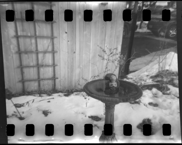 A small buddha statue sits in a bird bath surrounded by snow next to a wooden fence.