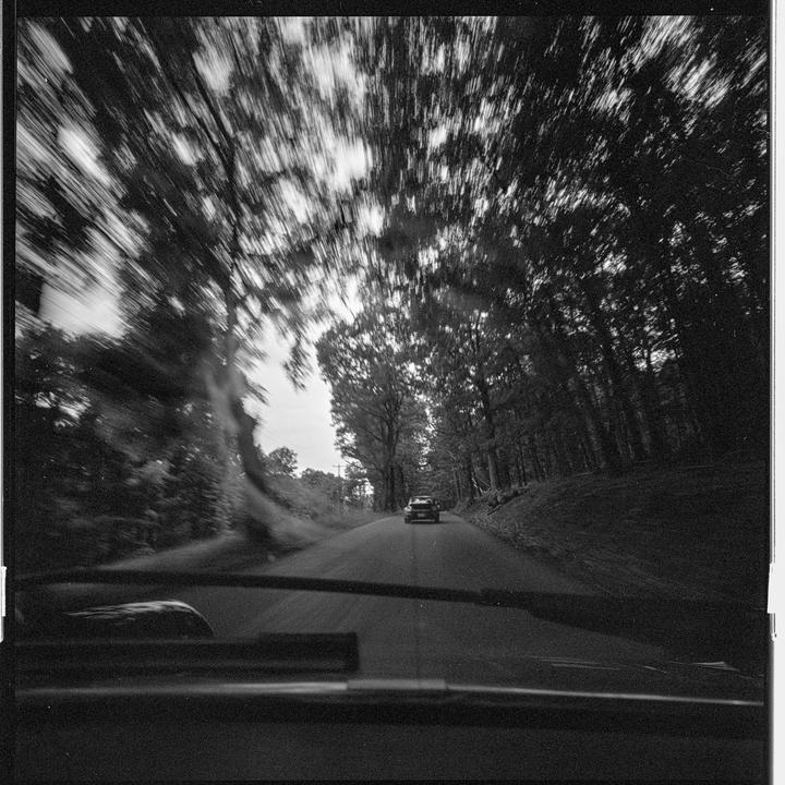 A black and white image shows a road ahead from inside a car, with trees blurring overhead and another car in the distance.