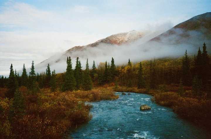 A river flows through a forest with a mountain in the background partially obscured by fog.
