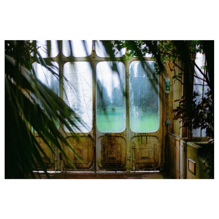 A set of old, dirty glass doors with green foliage in the foreground and background leads to a bright green field.