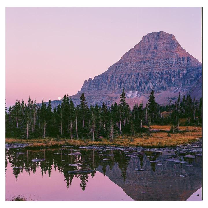A large mountain rises behind a forest and a body of water that reflects the mountain and trees under a pink sky.