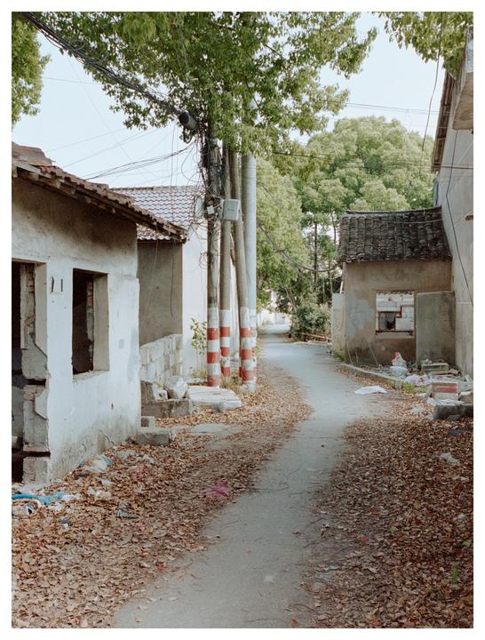 A narrow road covered in autumn leaves winds through an abandoned village with dilapidated buildings and overgrown trees.