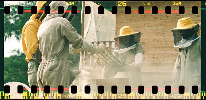 Three beekeepers in protective suits are surrounded by bees and smoke while working with a beehive.