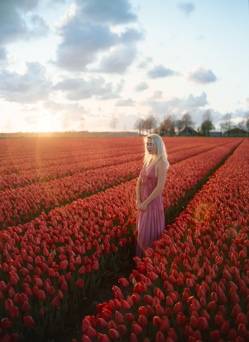 A woman in a long dress stands in a field of red tulips under a cloudy sky at sunset.