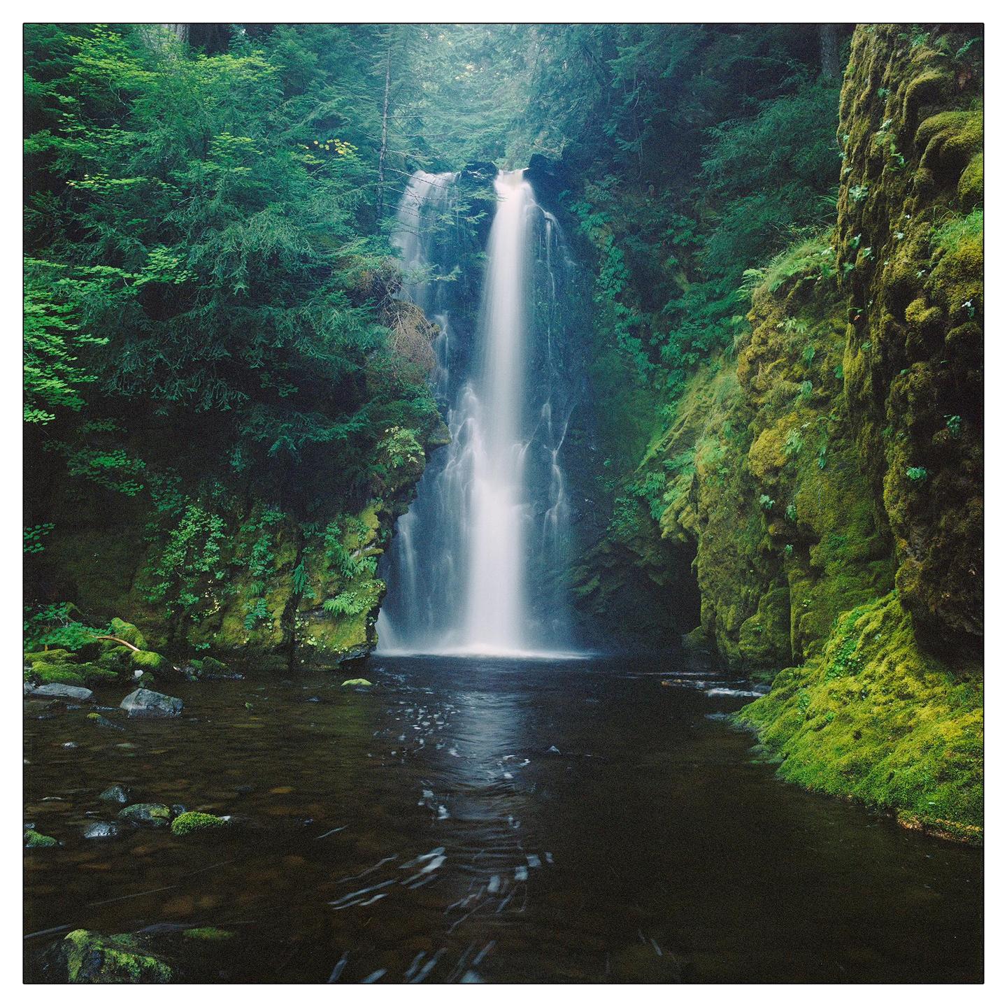 A tall waterfall cascades into a dark pool surrounded by lush green moss and trees.