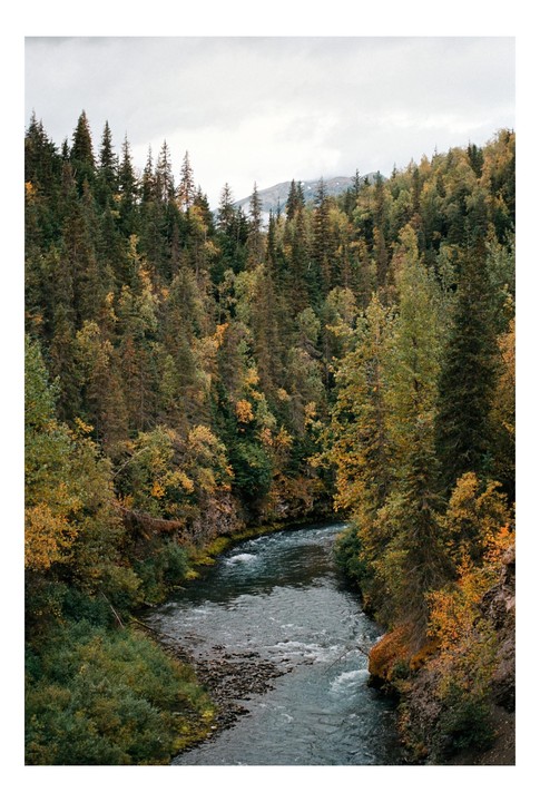 A river winds through a forest with autumn foliage under a cloudy sky.