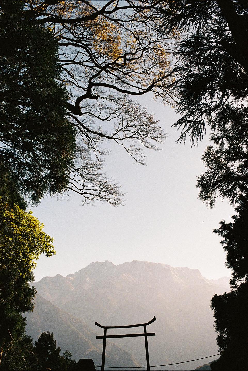 A torii gate stands in front of a mountain range, framed by trees.