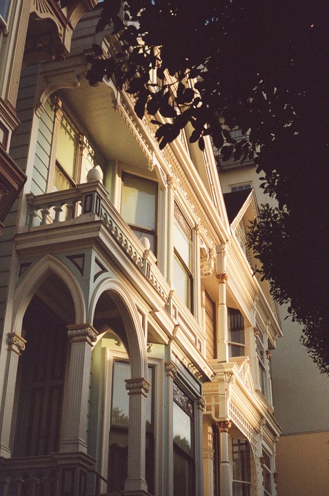 Sunlight illuminates the ornate architectural details of a Victorian house, partially obscured by dark foliage.