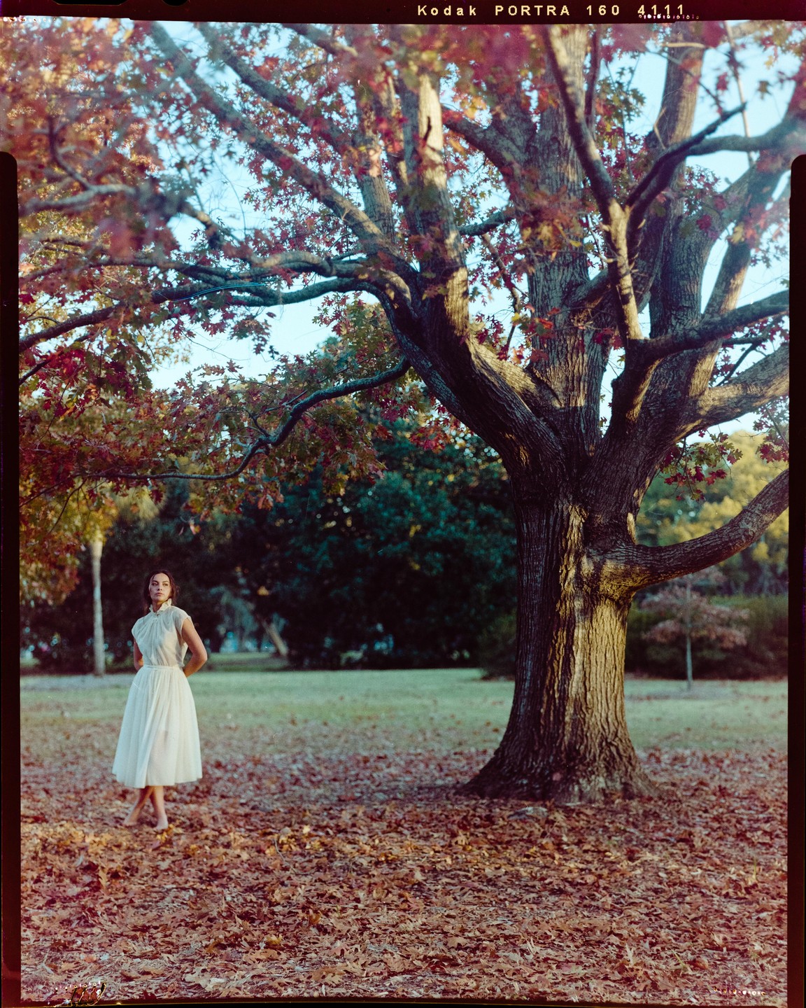A woman in a white dress stands barefoot on a ground covered with autumn leaves next to a large tree.